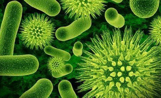 Bacteria Treatments | Munn Septic